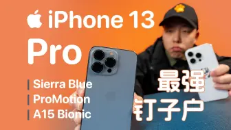 为啥 2025 还在用 iPhone 13 Pro？原来是苹果摆烂了三年…