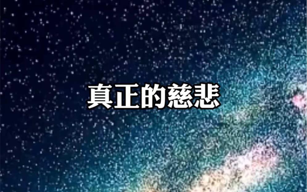 真正的慈悲哔哩哔哩bilibili