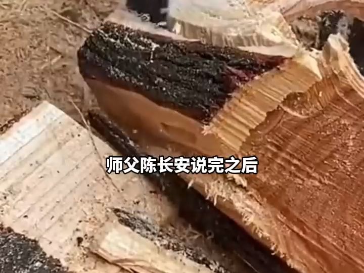 [图]开局长生不死，谁都以为我无敌16