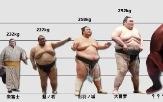 相撲 哔哩哔哩 Bilibili