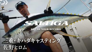 ロックショアマリア別注平政