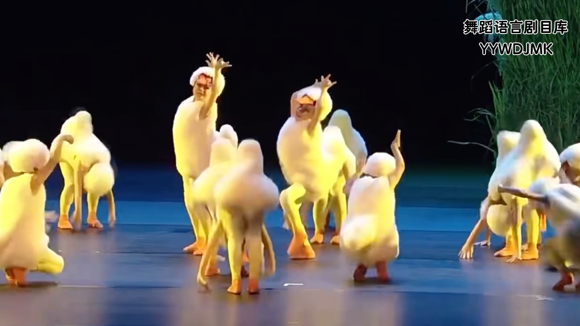 优秀幼儿舞蹈《小鸭子嘎嘎》完整版,创意独特,孩子表演的非常棒!