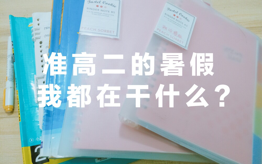 我要变学霸之准高二的暑假我都在干什么|3本教辅4本笔记总览|和毓毓一起成为学霸吧!哔哩哔哩bilibili