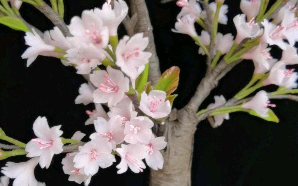 【粘土】樱花树「冷瓷黏土」手捏冷瓷土树脂黏土樱花