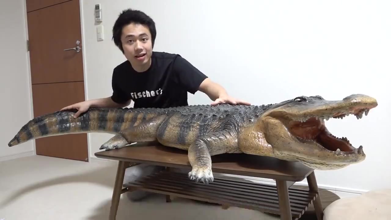 【Fischer's 整人】浴室里出现了巨大鳄鱼 crocodile in the bathroom prank(中字)哔哩哔哩bilibili