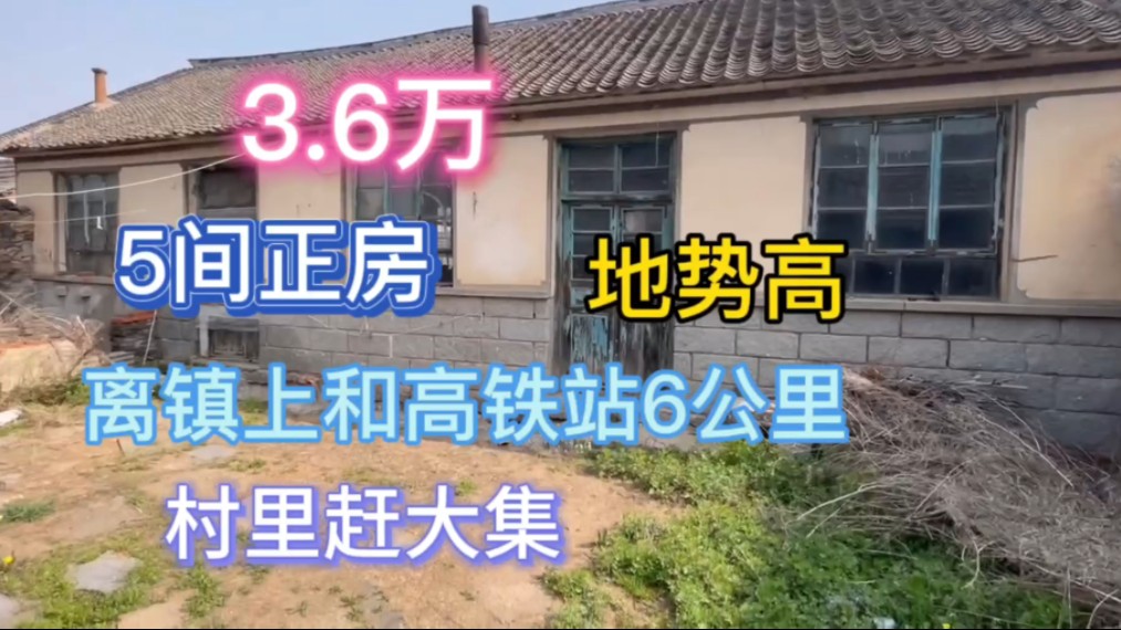 3.6万,5间正房,地势高,离镇上和高铁站6公里,村里赶大集#胶东农家小院哔哩哔哩bilibili