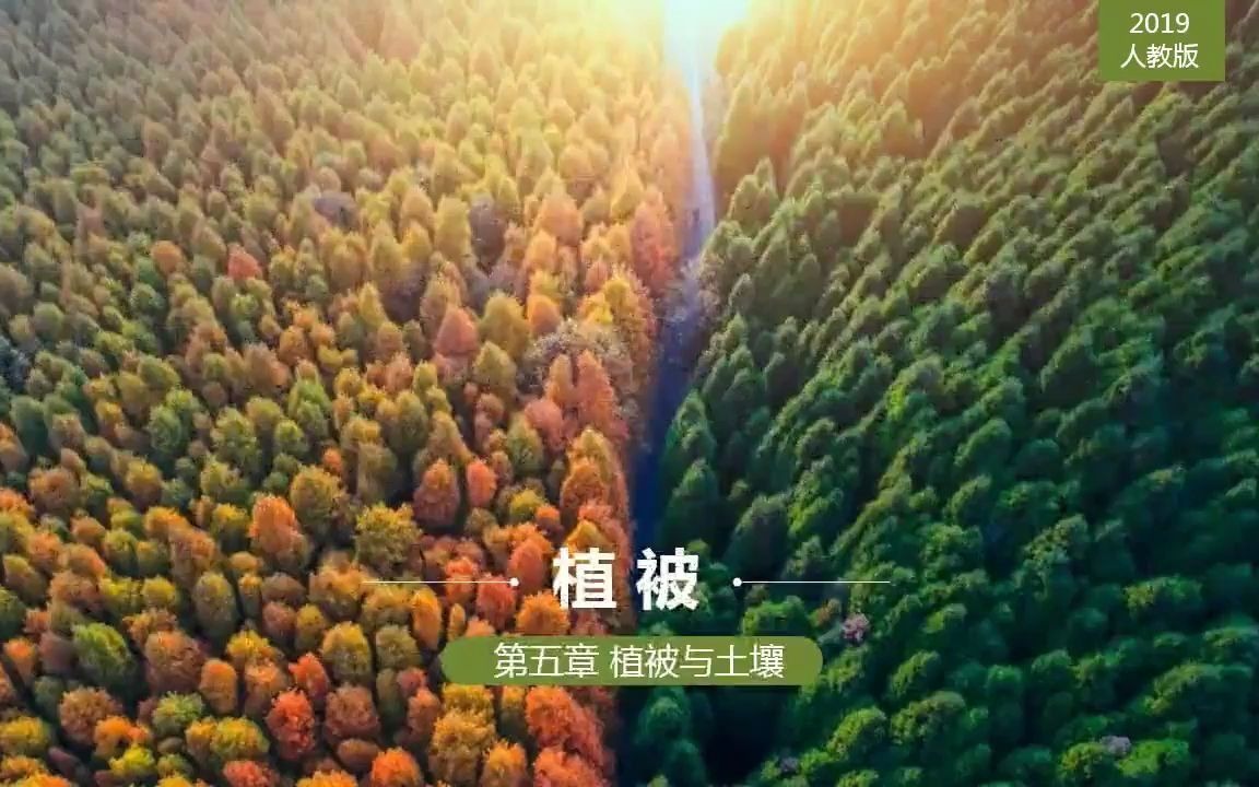 [图]在b站学地理——这是你认识的植被吗？