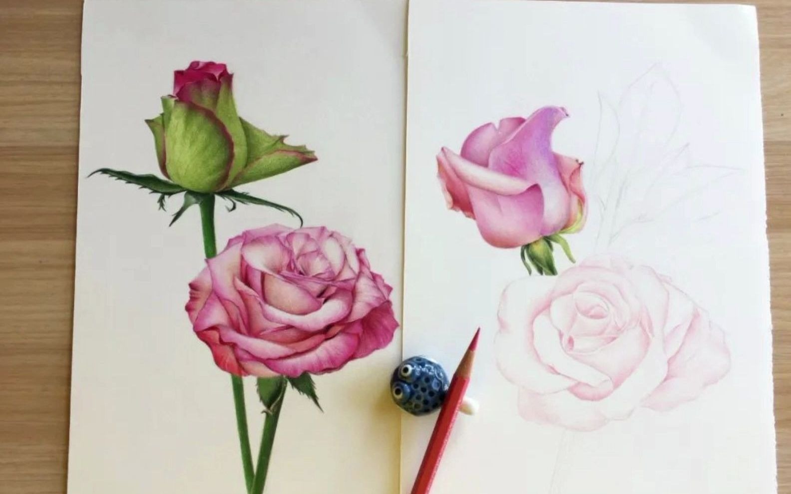 彩铅教程 |  画一株娇美的粉色月季花