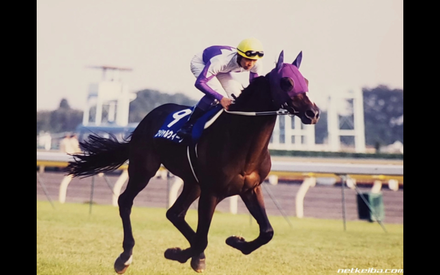 无冕的王者 特别周