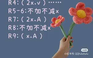 Download Video: 【钩织图解】立体花丨植物