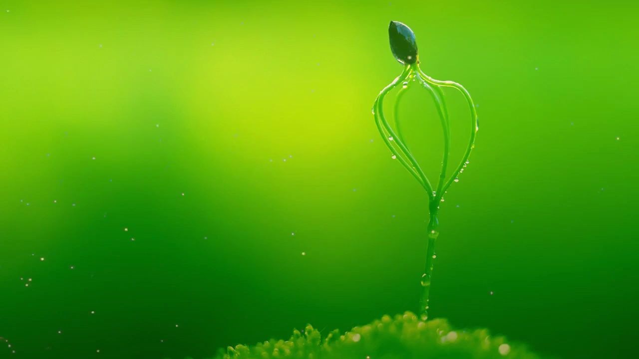 relaxingchannel放松音乐200606本集主题早上最适合听的轻音乐纯钢琴