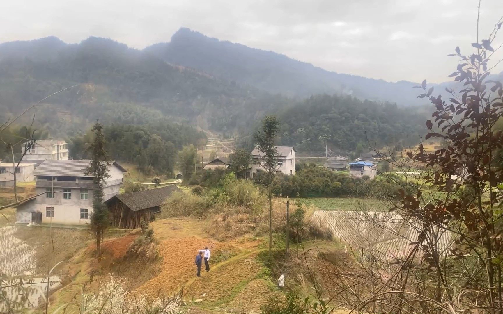 [图]王君植寻龙点穴，大山区里面看风水宝地，这几个要素非常关键