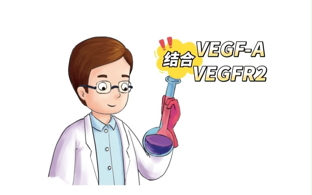 VEGF,VEGFR科普视频哔哩哔哩bilibili