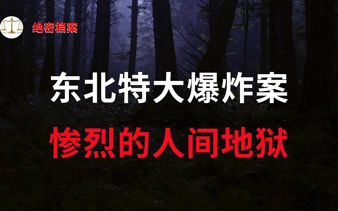 东北特大爆炸案,令人震惊的巨大灾难,惨烈的人间地狱,列车上的爆炸狂徒  大案要案纪实录  绝密档案哔哩哔哩bilibili