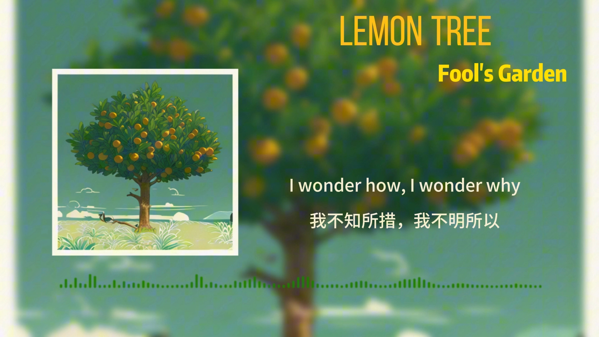 [图]经典英文单曲   Lemon  Tree