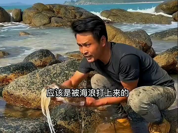 海岛生活,荒野生存哔哩哔哩bilibili