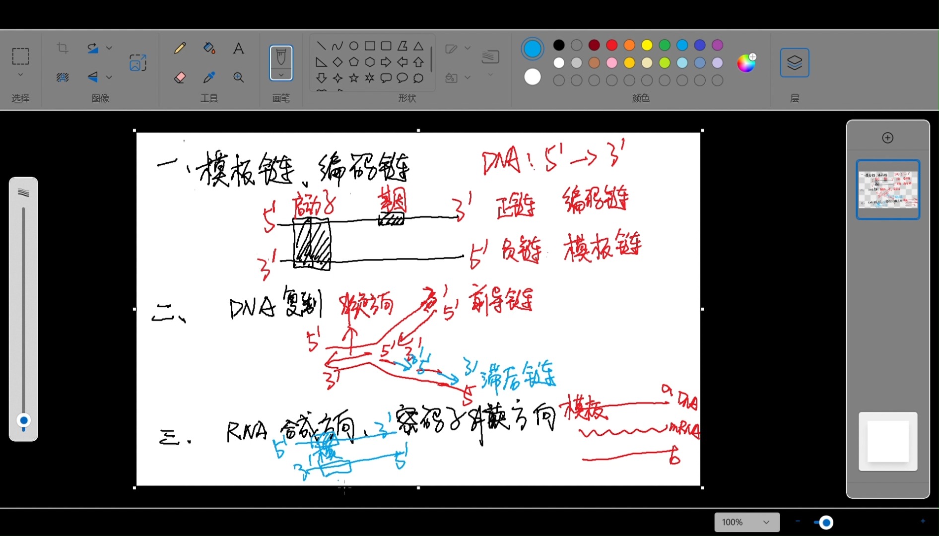 模板链和编码链的判断/DNA和RNA的合成方向/密码子解读方向哔哩哔哩bilibili