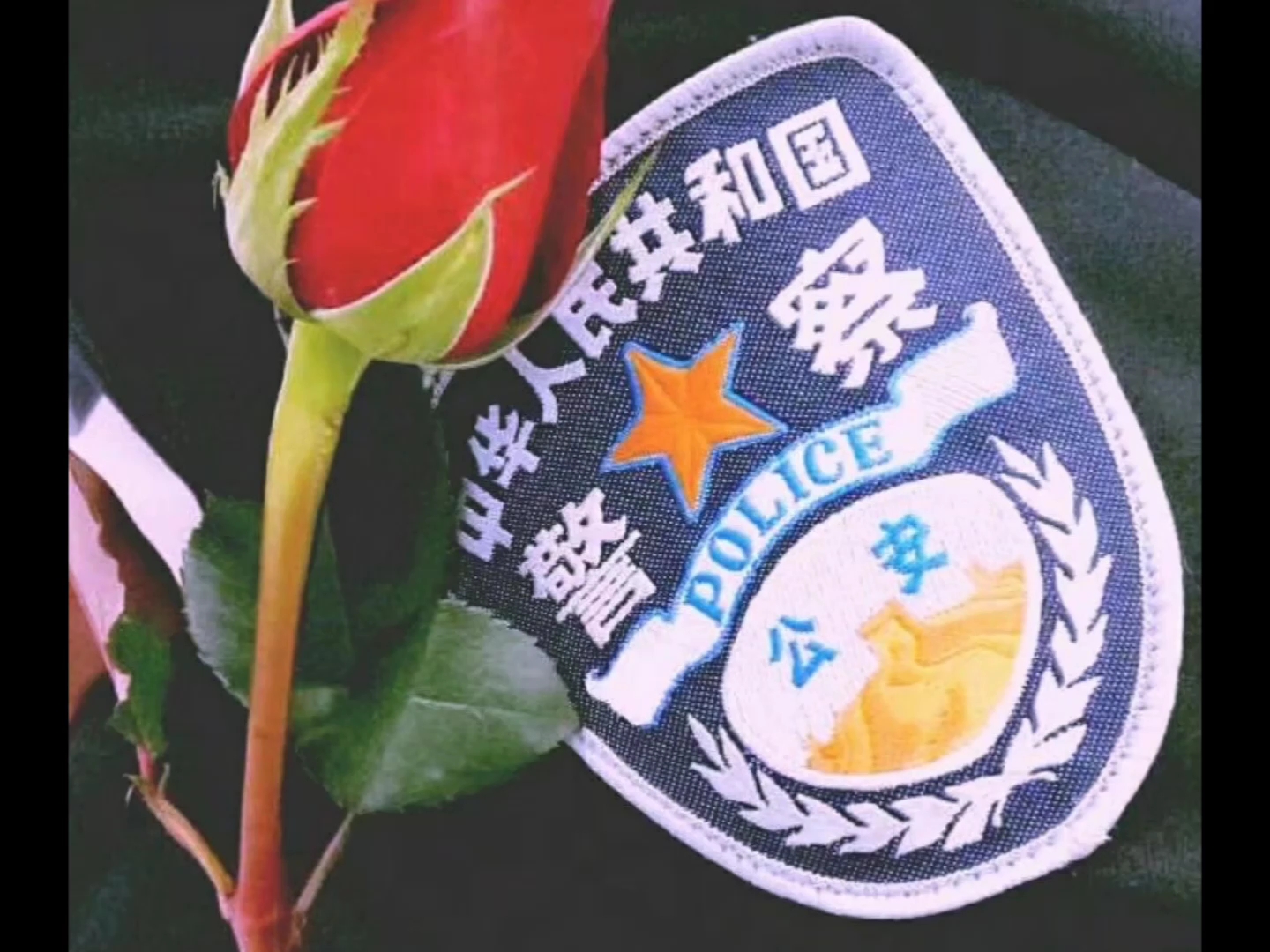 [图]只有当过警察，才知道警察的累与痛以及背后的辛酸，一身警服他们青春的颜色，头顶的警徽是党纪和国法肩上的警衔，是他们的沉甸甸的责任与担当，他们用满腔热血在守护着人民