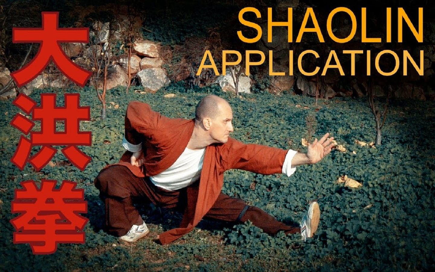 【中英双字】少林大洪拳 | 实战应用 | 拆招详解