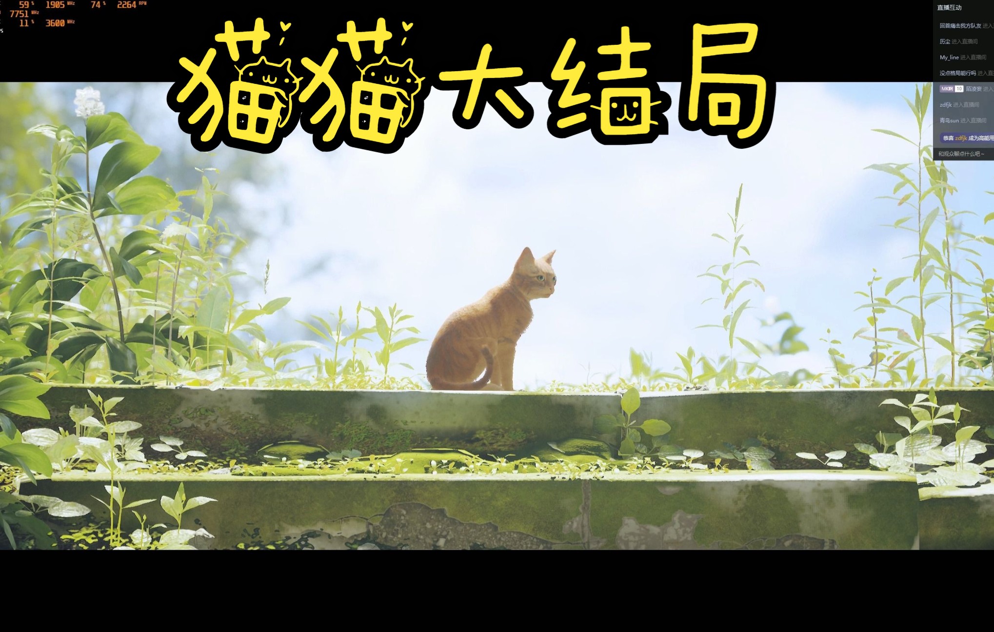 [图]《Stary迷失》猫猫大结局