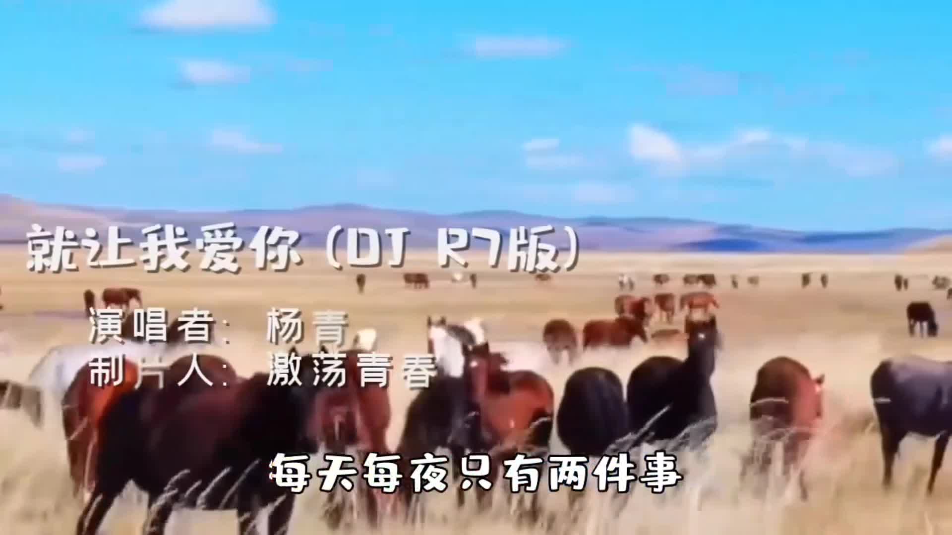 [图]经典流行歌曲，《就让我爱你》DJ版，杨青好听MV