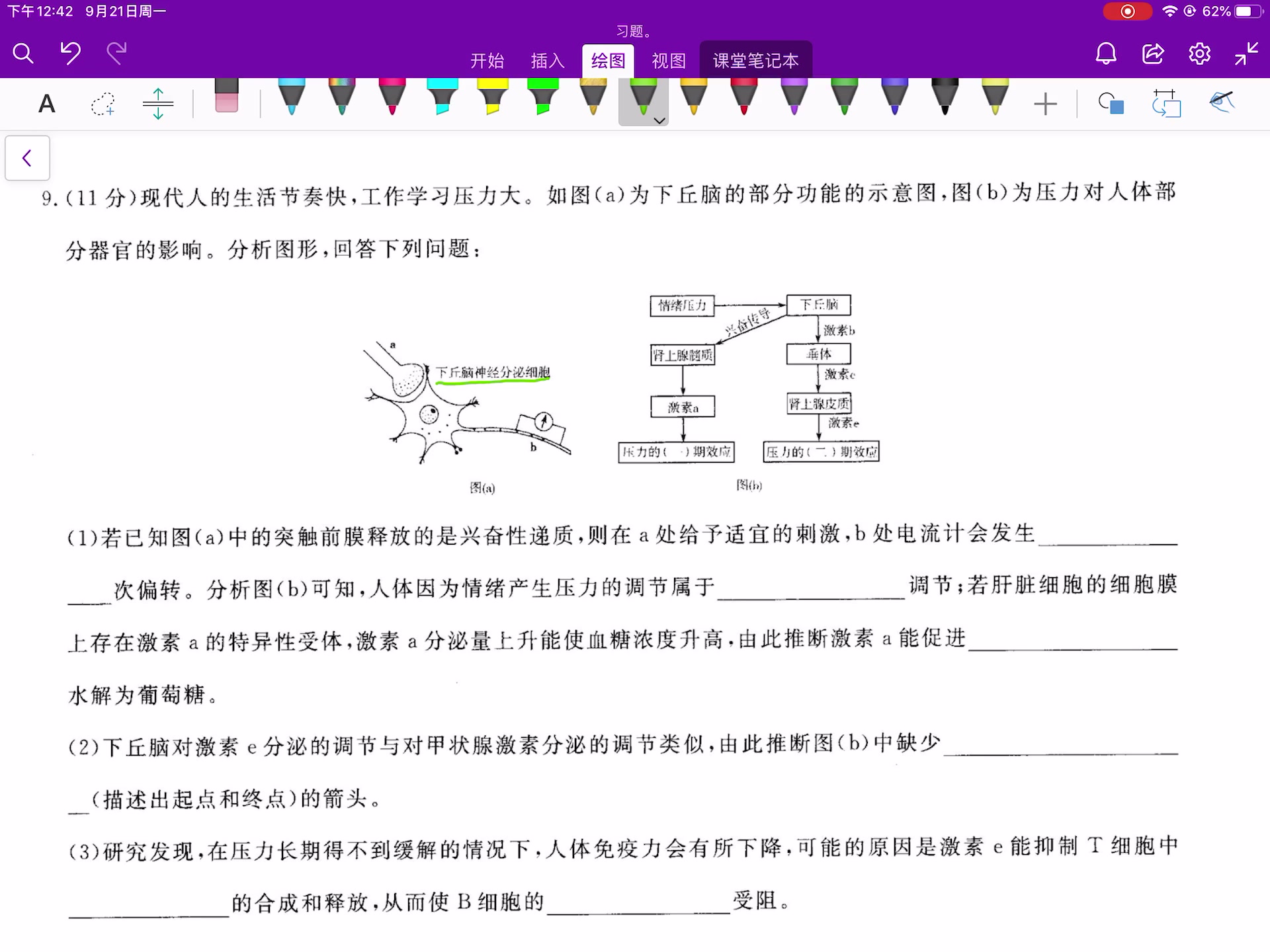 9.激素题,现代人的生活节奏快,工作学习压力大,如图A为下丘脑的部分功能示意图,图B为压力对人体部分器官的影响.哔哩哔哩bilibili