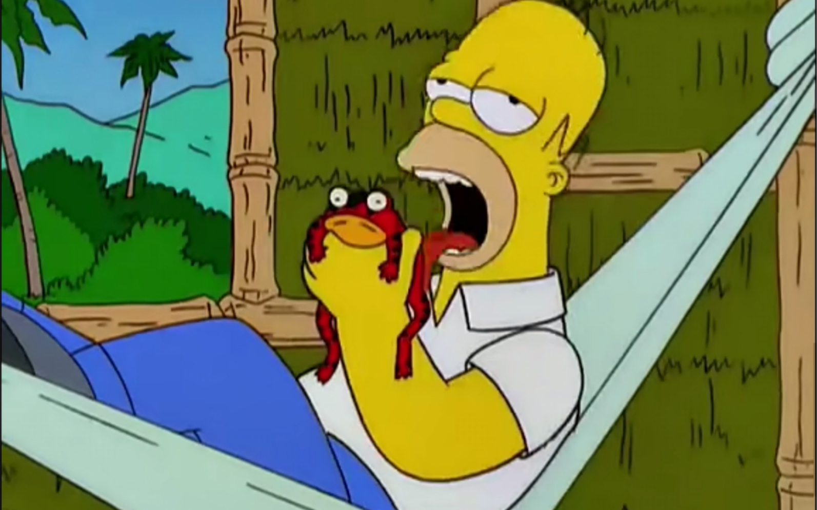 【辛普森一家】homer舔蟾蜍