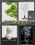 Download Video: PS的4种抠图技巧