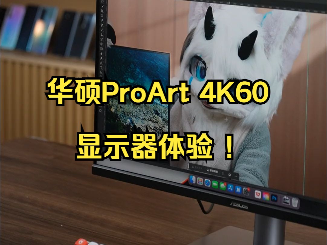 还支持菊花链?太好用了!华硕ProArt 4K60显示器体验 !哔哩哔哩bilibili