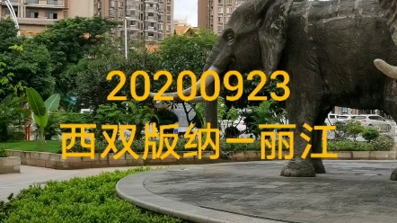 20200923西双版纳—丽江哔哩哔哩bilibili