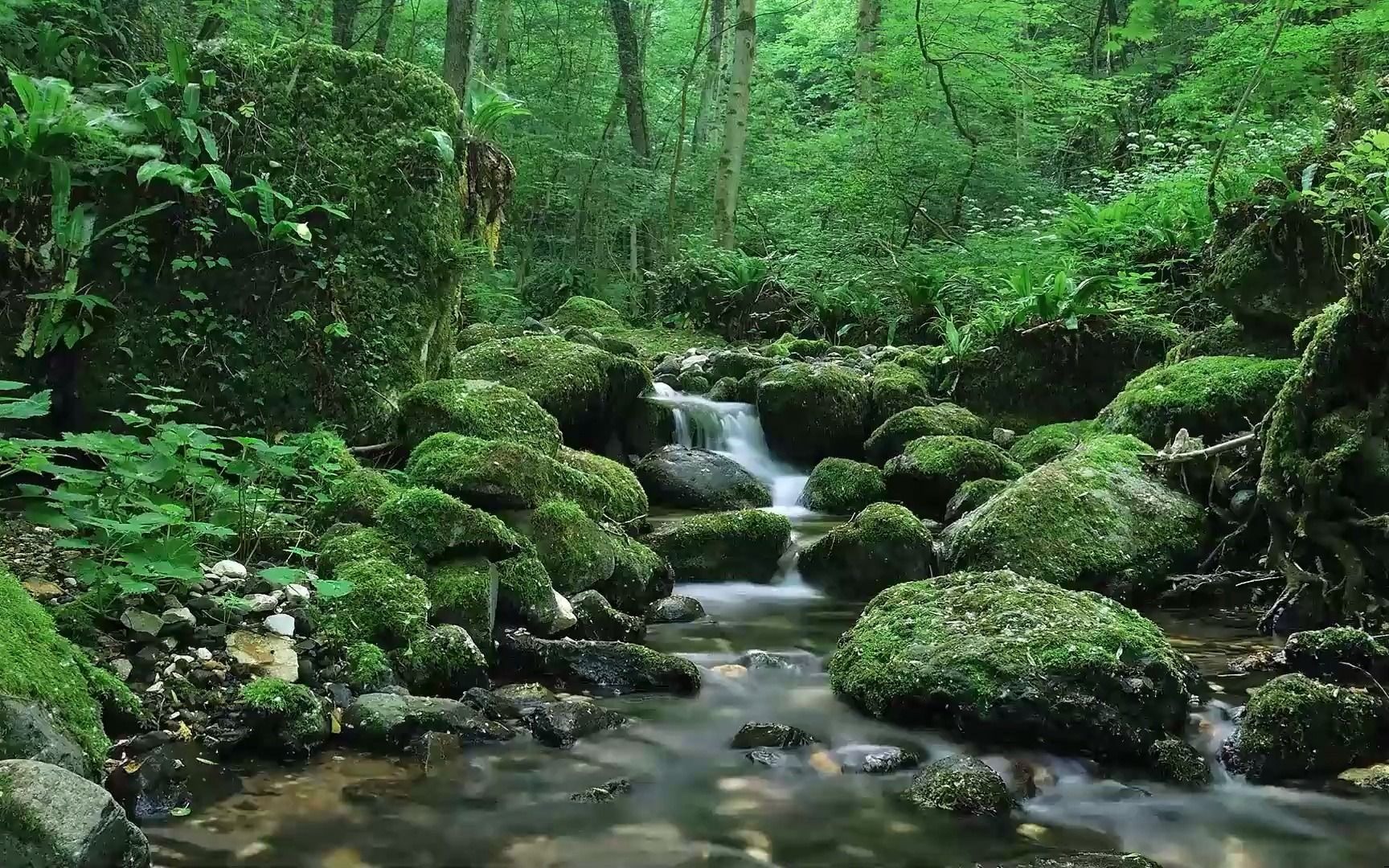 环球青藤职场数据分析训练营职场全能证书班1哔哩哔哩bilibili