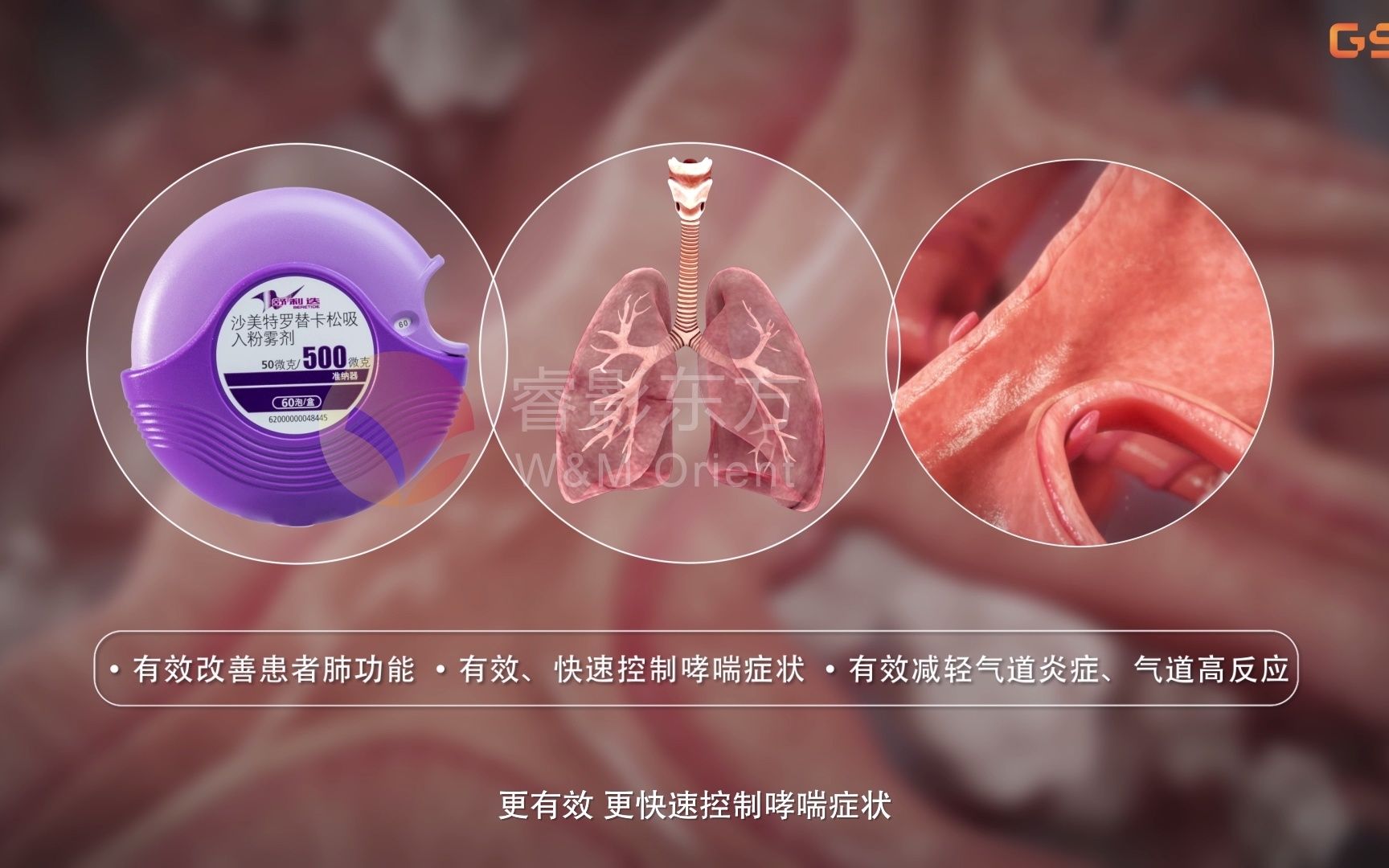 【3D医学动画】GSK舒利迭炎症因子机制(哮喘)动画演绎哔哩哔哩bilibili