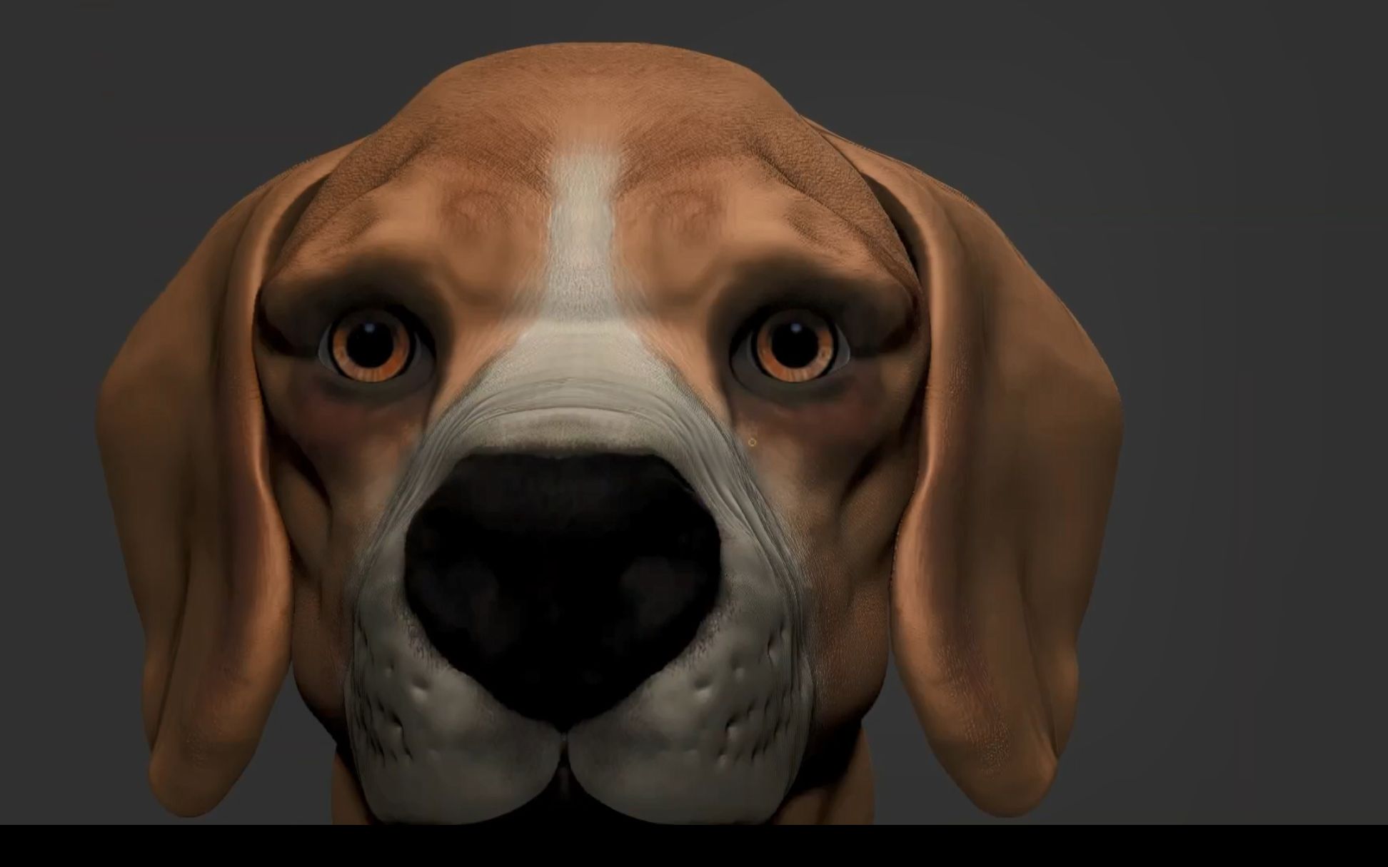 【3d建模】使用zbrush制作狗子3d模型,狗头警告