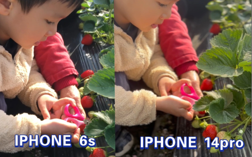 IPhone 14pro VS iPhone 6s 对比