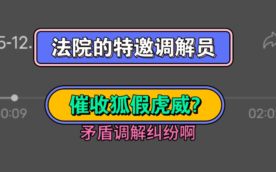 法院的特邀调解员,催收狐假虎威?哔哩哔哩bilibili