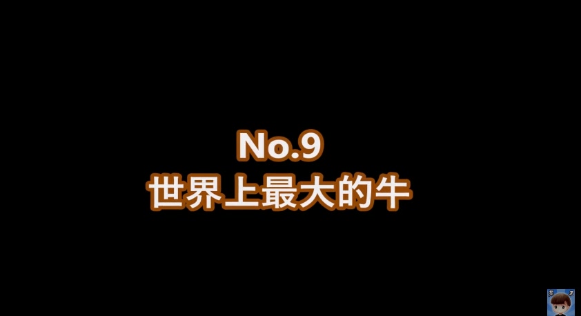 10个世界上最大的动物,每个都大得吓死人!哔哩哔哩bilibili