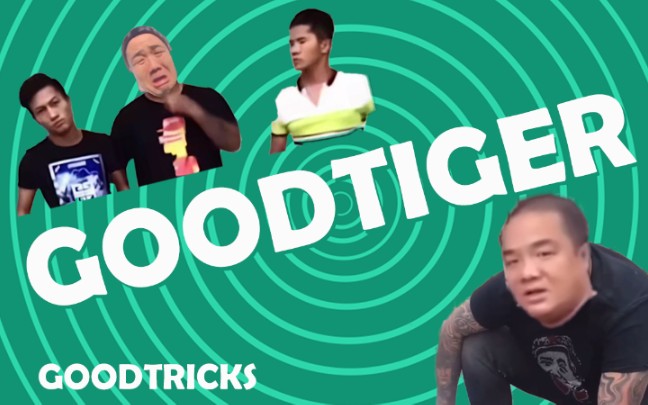 GOODTIGER BGA (原GOODRAGE BGA)_哔哩哔哩_bilibili