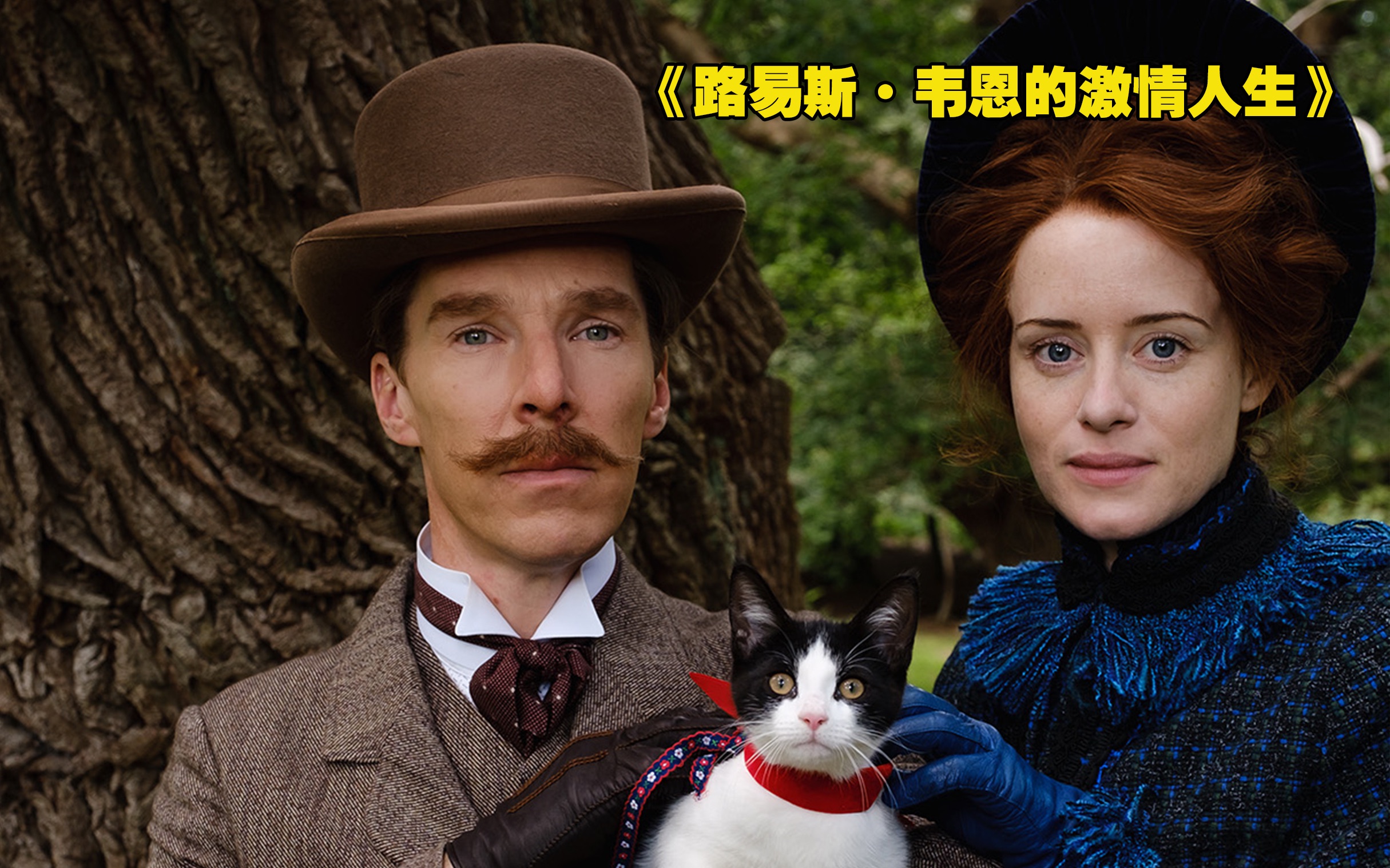 [图]卷福上演“猫奴画家”！凭借一己之力，让猫咪走进万千家庭！