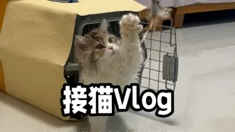 小咪咕到家了！！！
