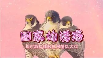 你怎么穿着Lucky的衣服？