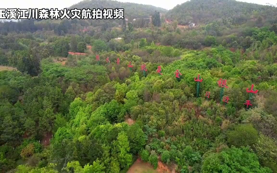 玉溪江川森林火灾航拍视频,部分山火蔓延至大湾山地带.哔哩哔哩bilibili