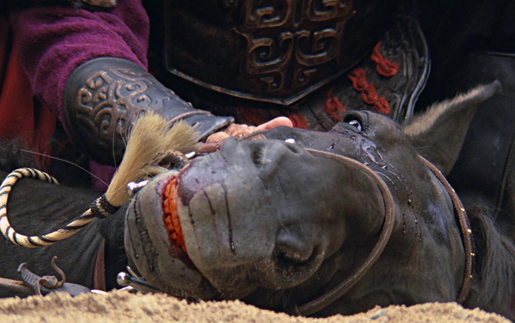 你有多久没看过动作片了,看看一匹马在战场上的骚操作,《神话》黑风之