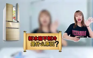 Download Video: 新买的冰箱不制冷该怎么办？