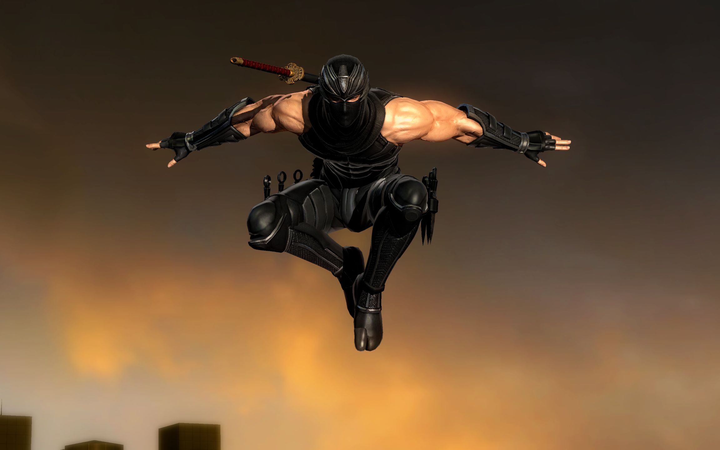 忍龙3re隼之里忍法交流会