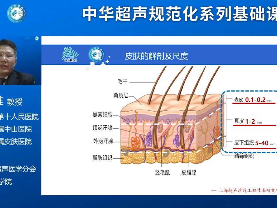 [图]肌骨超声精讲第14课-皮肤解剖及超声扫查规范