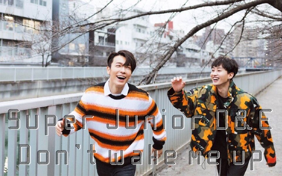 super junior d&e dont wake me up 赫海神仙小分队 混剪