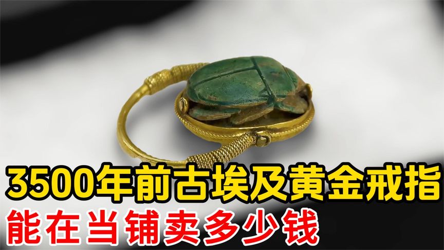 一枚3500年前的古埃及屎壳郎纯金戒指,能在当铺卖多少钱哔哩哔哩bilibili