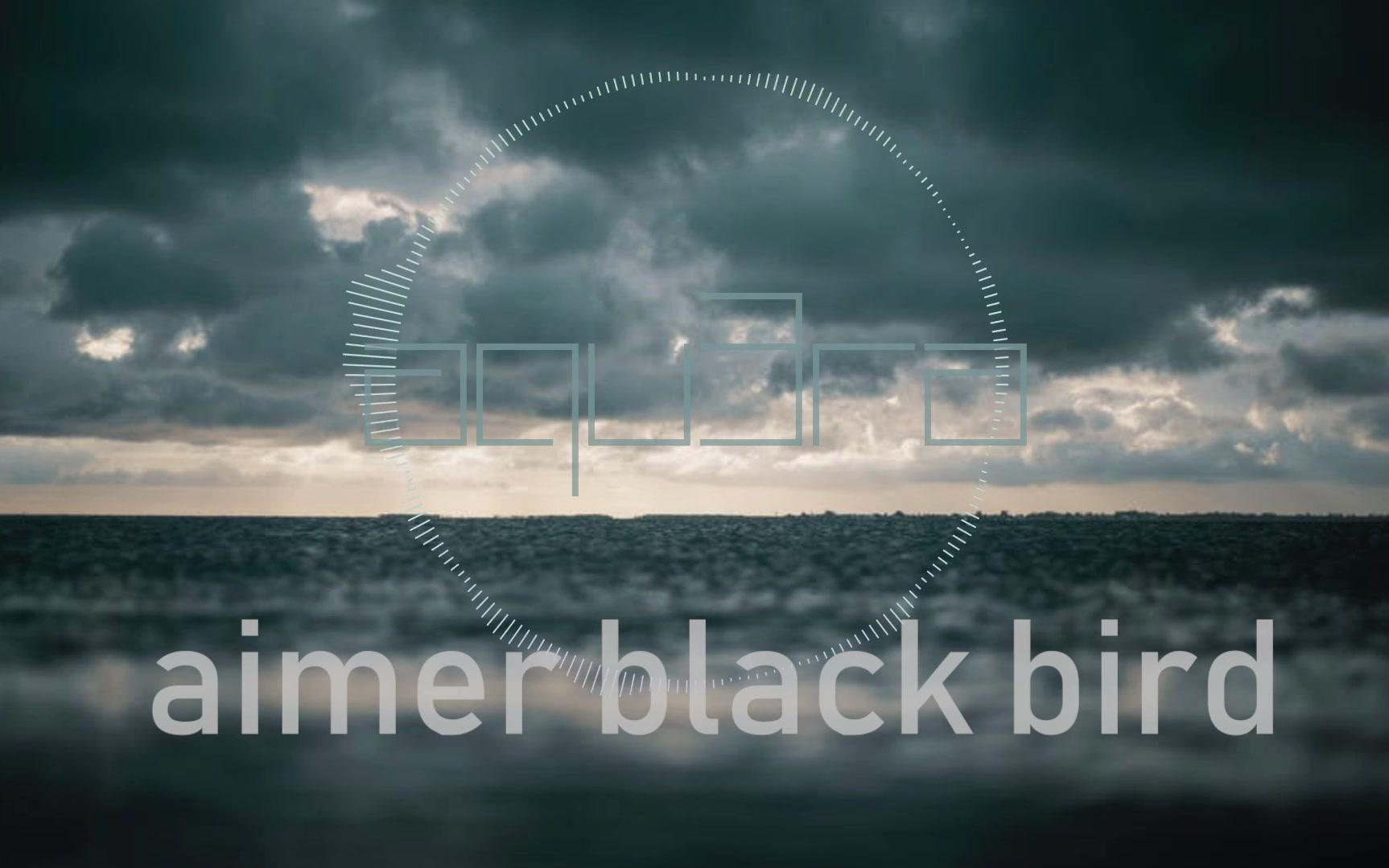 【aqu3ra】aimer/black bird