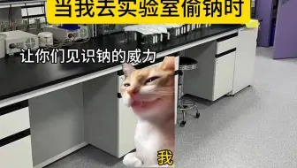 当我去实验室偷钠