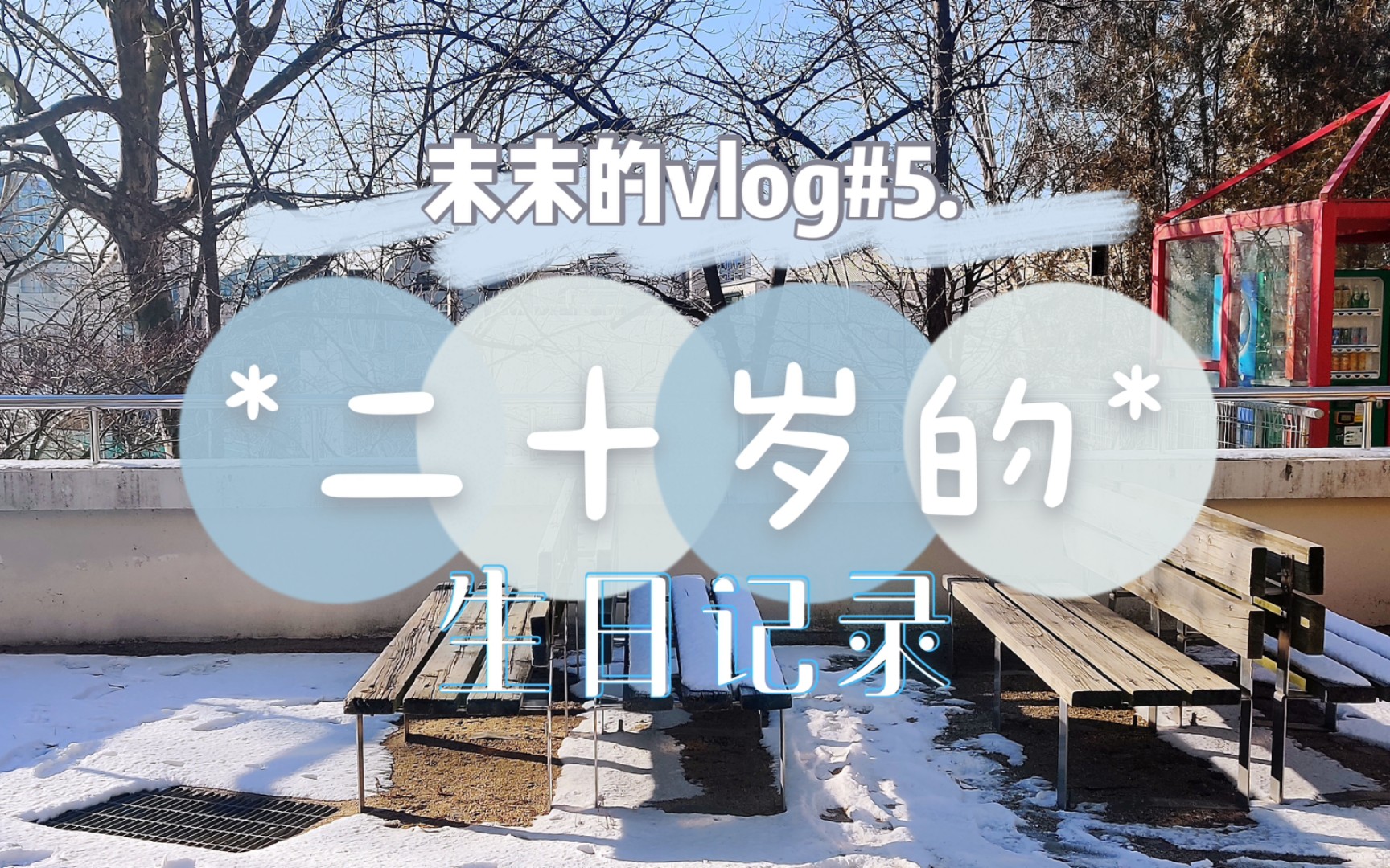 【vlog】#5.二十岁的生日记录哔哩哔哩bilibili